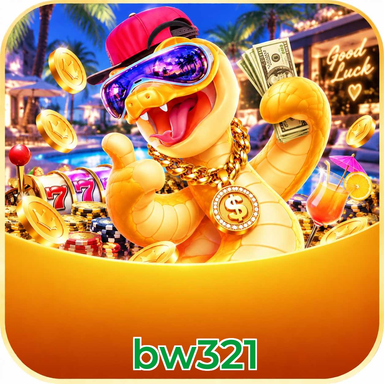 bw321 System Requirements